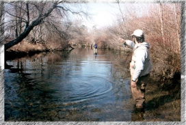 Bob Perry again Bob Perry again