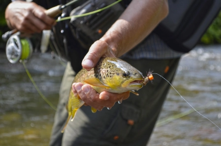 This bright mouth decoration will soon be removed This bright mouth decoration will soon be removed