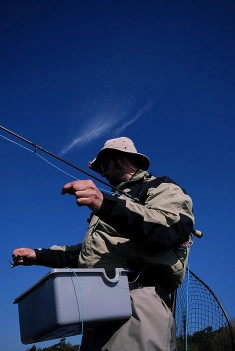 Fly, line and sky Fly, line and sky