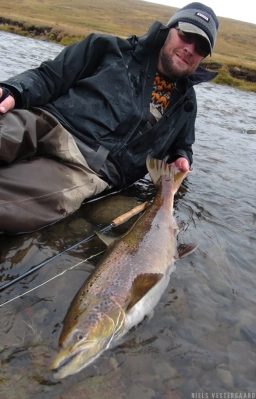 Light rod, large salmon Light rod, large salmon