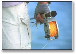 Reel and fly Reel and fly