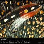 #19 Shang's Special - Mike Boyer #19 Shang's Special - Mike Boyer