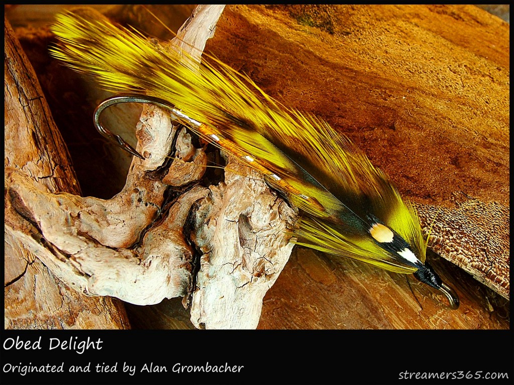 #3 Obed Delight - Alan "Alberta Al" Grombacher #3 Obed Delight - Alan "Alberta Al" Grombacher