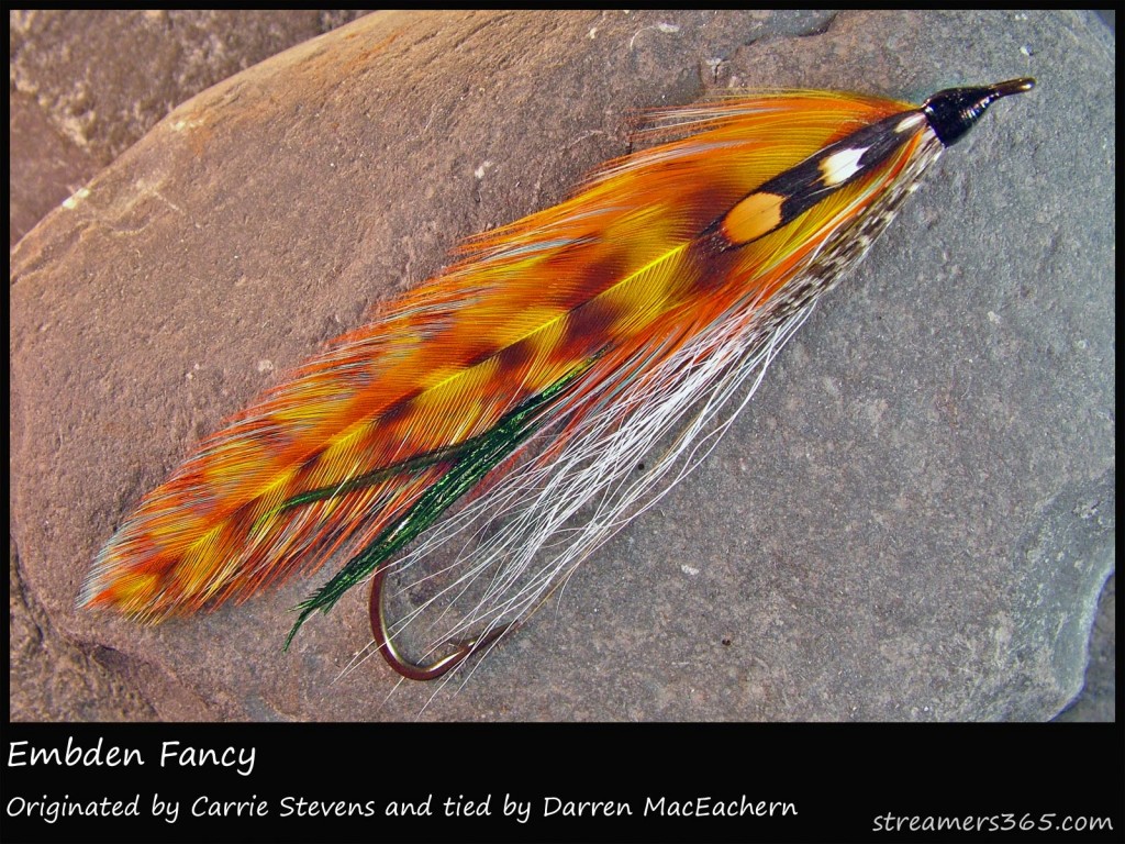 #75 Embden Fancy - Darren MacEachern #75 Embden Fancy - Darren MacEachern