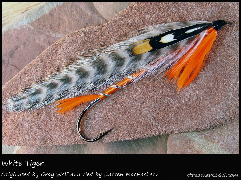 #100 White Tiger - Darren MacEachern #100 White Tiger - Darren MacEachern