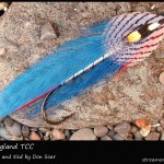 #196 New England - Team Colors Collection - Don Soar #196 New England - Team Colors Collection - Don Soar