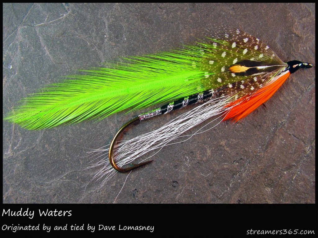 #275 Muddy Waters - Dave Lomasney #275 Muddy Waters - Dave Lomasney