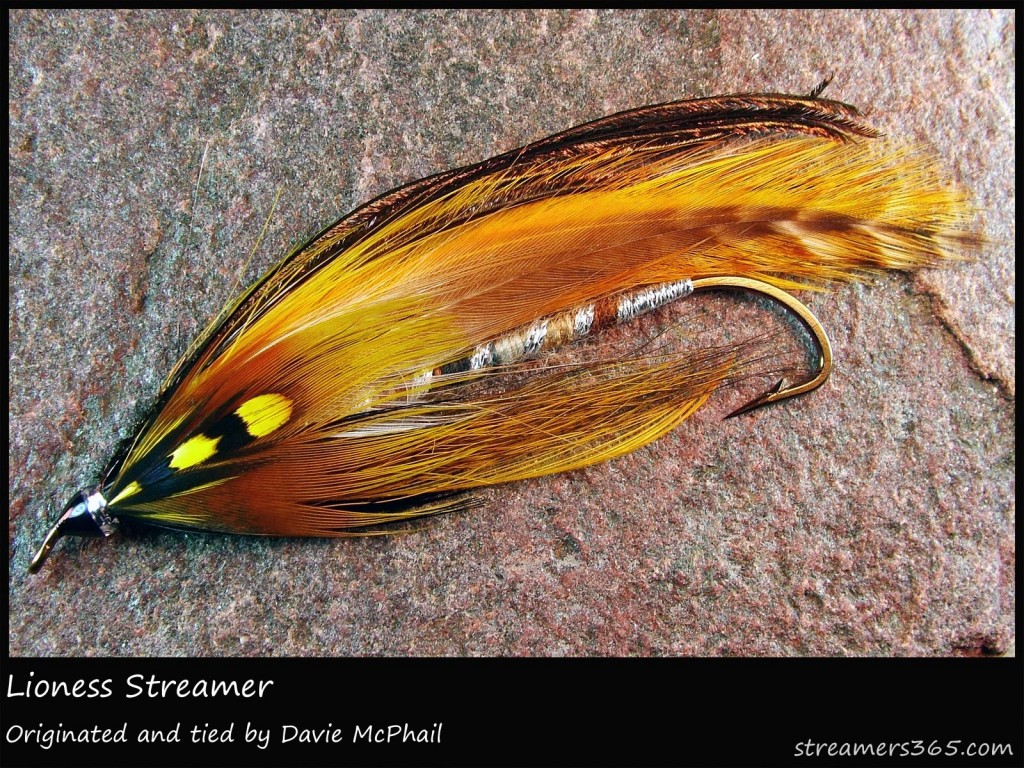 #323 Lioness Streamer - Davie McPhail #323 Lioness Streamer - Davie McPhail
