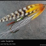 #309 Webster Lake Surprise - Jim Malo #309 Webster Lake Surprise - Jim Malo