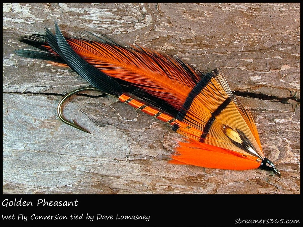 #316 Golden Pheasant - Dave Lomasney