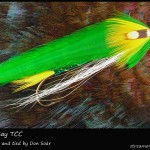 #335 Green Bay - Team Colors Collection - Don Soar #335 Green Bay - Team Colors Collection - Don Soar