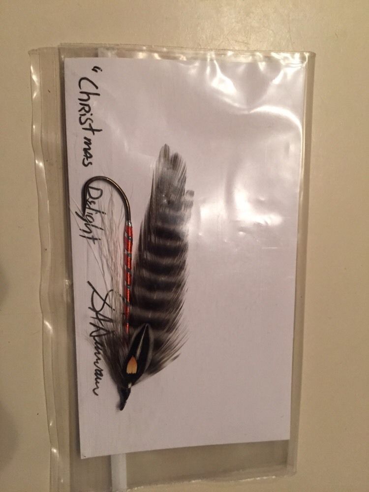 Selene Dumaine Christmas Delight Feather-wing Streamer