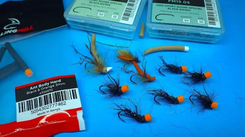 Video thumb for Popper Hopper Beetle