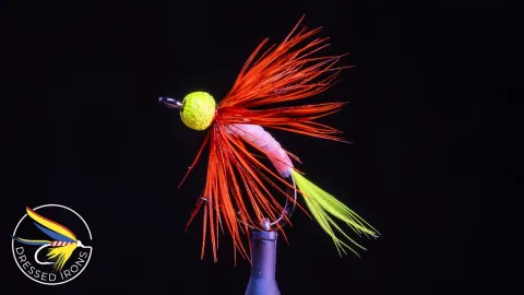 Video thumb for Remnant Fly #32