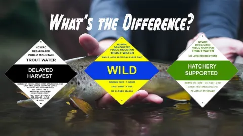 Video thumb for North Carolina Stream Regulations