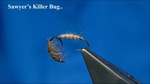 Video thumb for Sawyer's Killer Bug