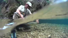Video thumb for Greek Trout Diaries 2015