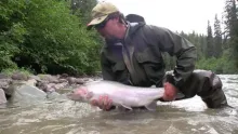 Video thumb for BC Steelhead