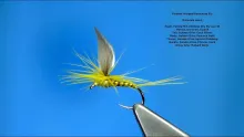 Video thumb for Parachute Winged Dry Fly