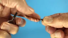 Video thumb for Folding Feathers