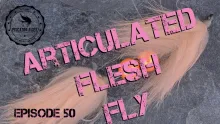 Video thumb for Articulated Flesh Fly