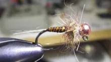 Video thumb for Brown Quill Jig Nymph