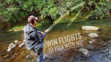 Video thumb for Fly Fishing Epic clear water River!