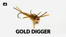Video thumb for Gold Digger Stone