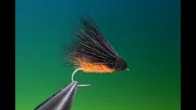Video thumb for October Caddis/Sedge