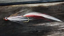 Video thumb for Minnow streamer fly