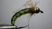 Video thumb for Crazy Leg Caddis