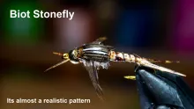 Video thumb for Biot Stonefly