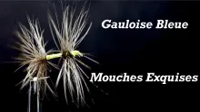 Video thumb for Mouches Exquises - Gauloise Bleue