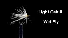 Video thumb for Light Cahill Wet Fly