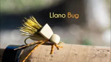 Video thumb for Llano bug