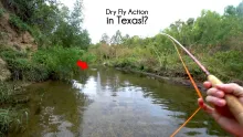 Video thumb for Dry fly fishing in Texas?!