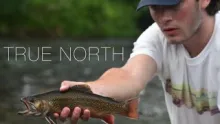 Video thumb for True North