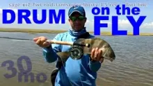 Video thumb for Black Drum on the Fly