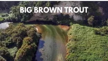 Video thumb for Brown trout, dry flies, lost in a forest!