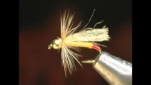 Video thumb for Adult Yellow Sally Nymph