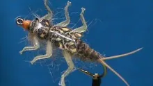 Video thumb for Hemingway's Golden Stonefly