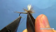 Video thumb for Parachute Adams Dry Fly