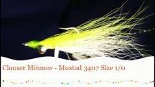 Video thumb for Clouser Minnow