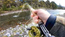 Video thumb for Sight Fishing Trout In Clear Water