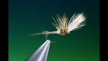 Video thumb for Mayfly Stillborn
