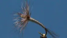 Video thumb for Tenkara Adams