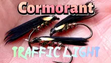 Video thumb for Traffic Light Cormorant