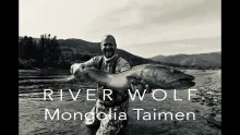 Video thumb for Taimen flyfishing