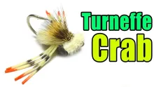 Video thumb for Turneffe Crab