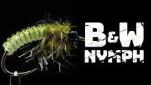 Video thumb for B&W Nymph